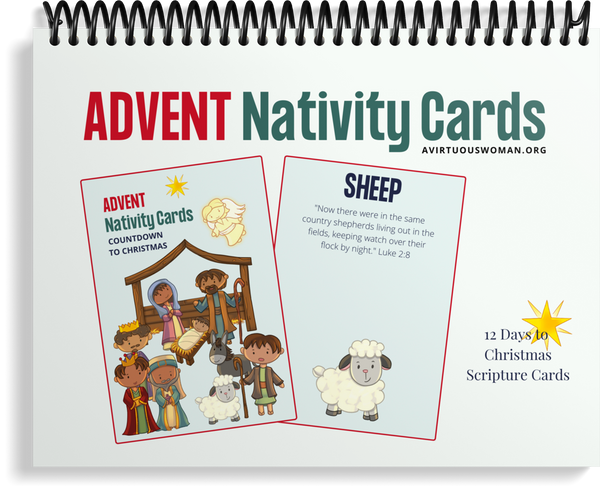 Prophecy Advent Nativity Scripture Cards | 12 Day Advent Calendar Countdown
